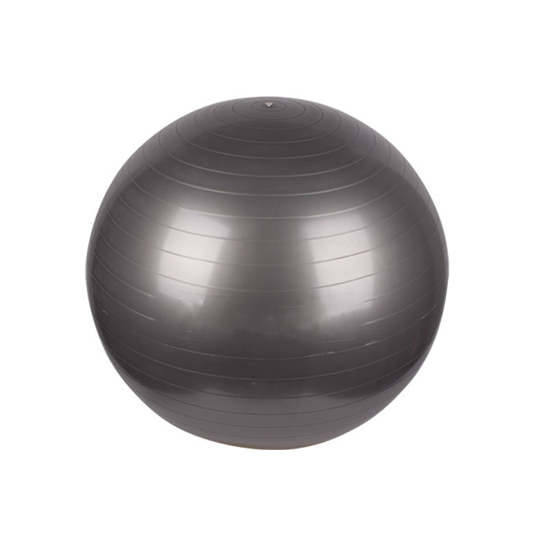 PAIDU Manufacturer Home Gym Workout Set Balance Ball Yoga Ball Exercise Ball with Adjustable Resistance Bands DDP
