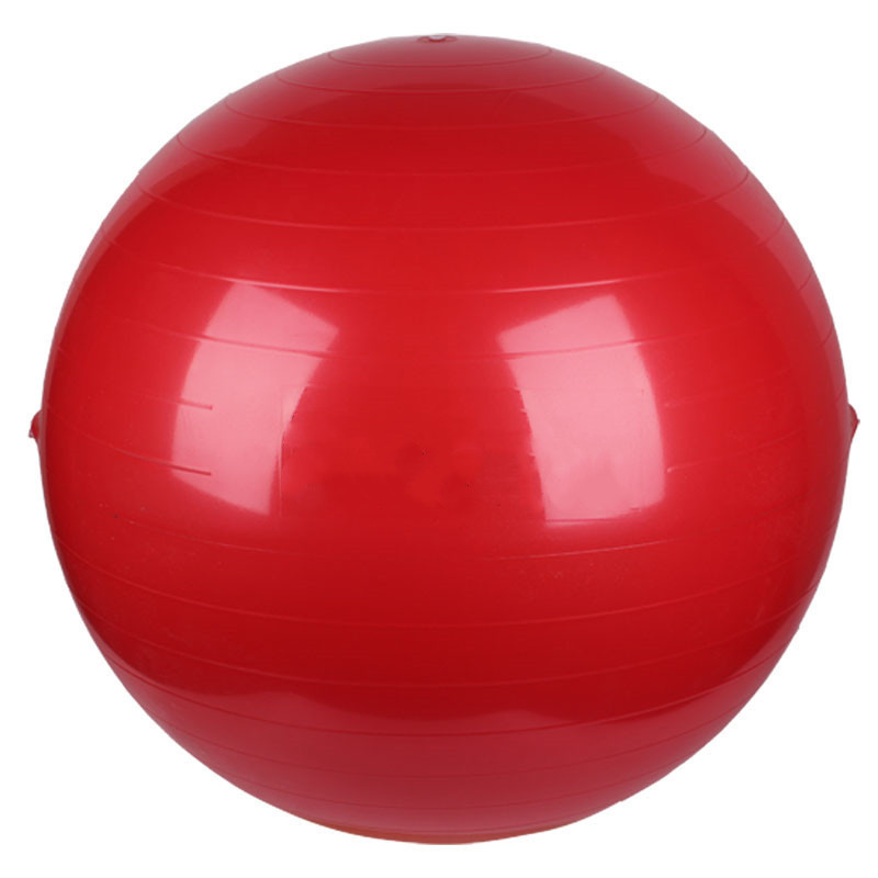 PAIDU Manufacturer Home Gym Workout Set Balance Ball Yoga Ball Exercise Ball with Adjustable Resistance Bands DDP