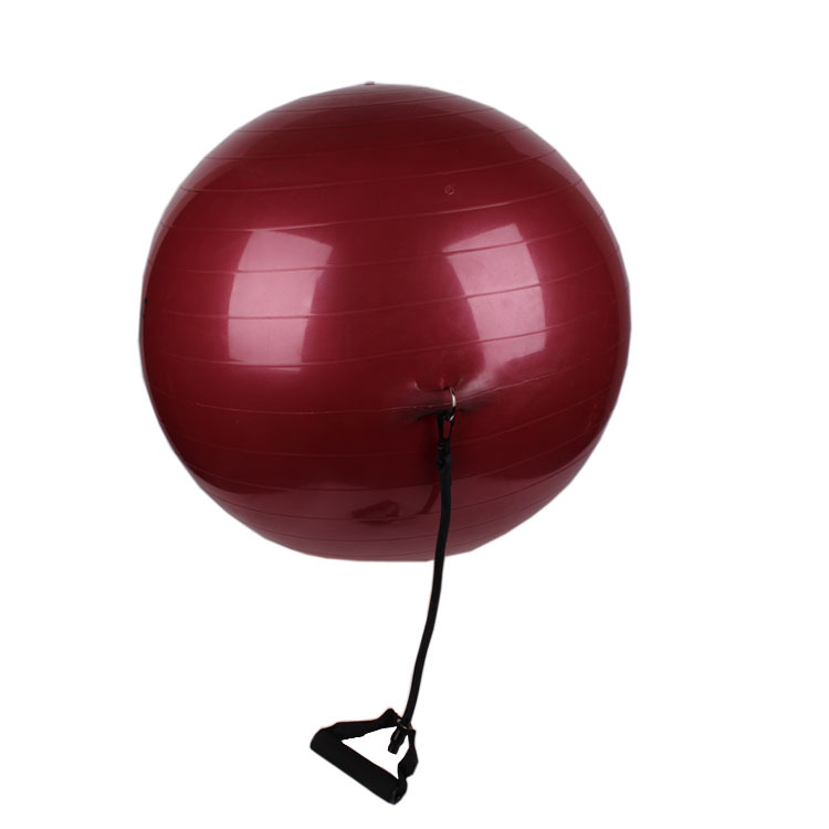 PAIDU Manufacturer Home Gym Workout Set Balance Ball Yoga Ball Exercise Ball with Adjustable Resistance Bands DDP