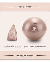 PAIDU Manufacturer Wholesale Fashionable Gym Fitness Eco Friendly  Small Mini Balance Yoga custom pilates ball 20cm  Core Training,Stretching DDP