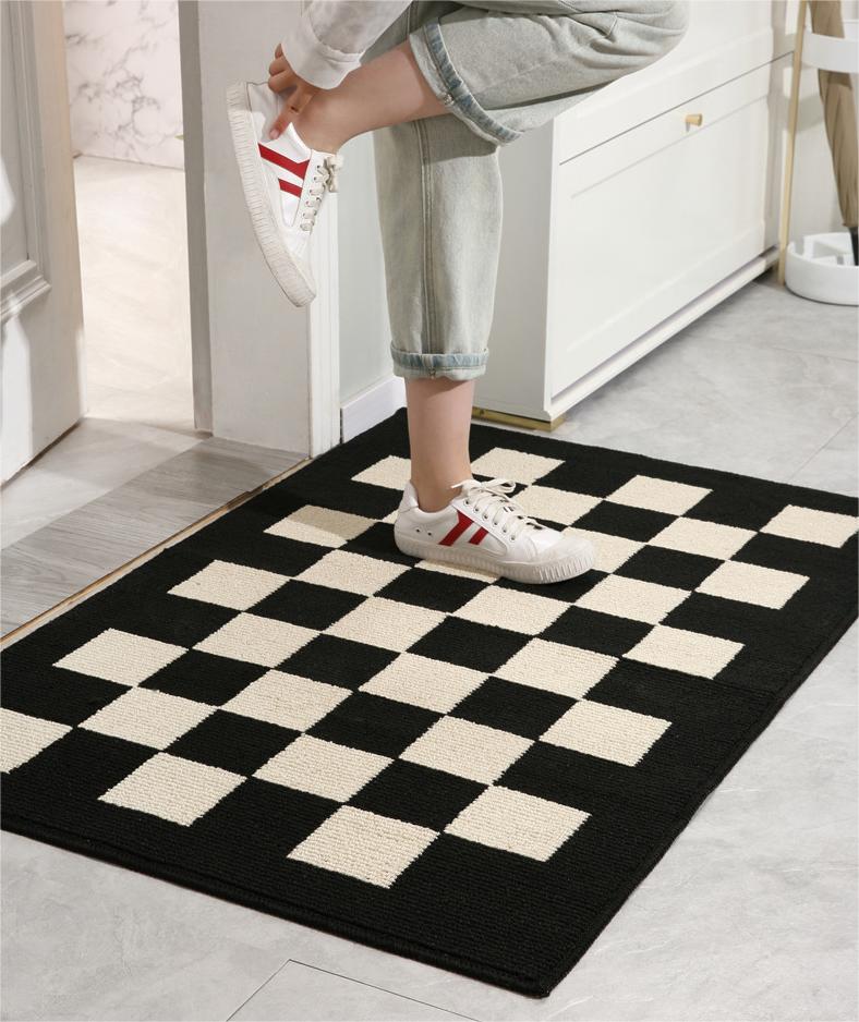 Paidu Manufacturer Household doorway dedusting wear-resistant rugs mat
